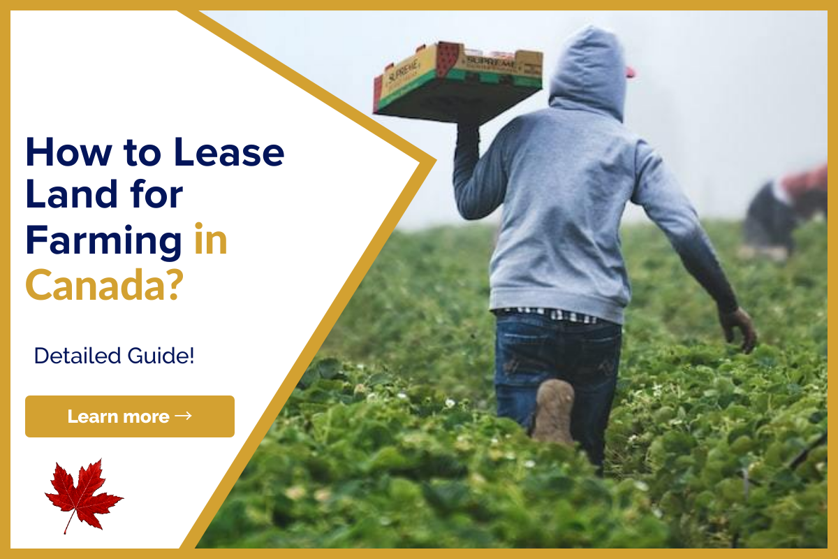 How To Lease Land For Farming Lionsgate Financial Group